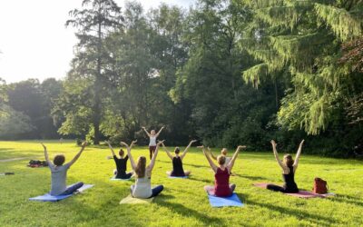 YOGA & PICKNICK IM PARK