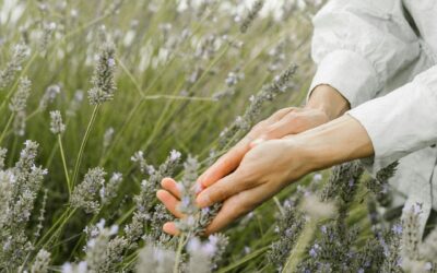 TAGESRETREAT „YOGA & KRÄUTERWISSEN“